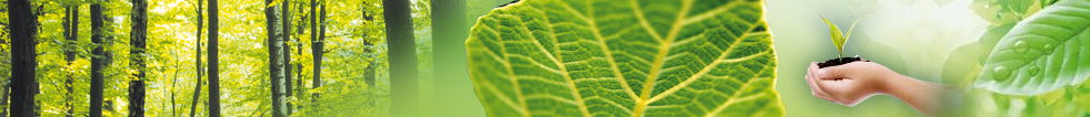 Bannière - Développement Durable